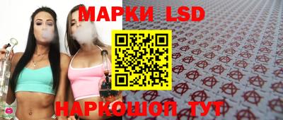 spice Заволжье