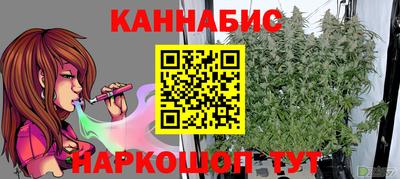 шишки Заводоуковск