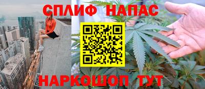 шишки Заводоуковск
