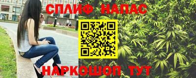 spice Заволжье