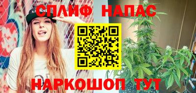 шишки Заводоуковск